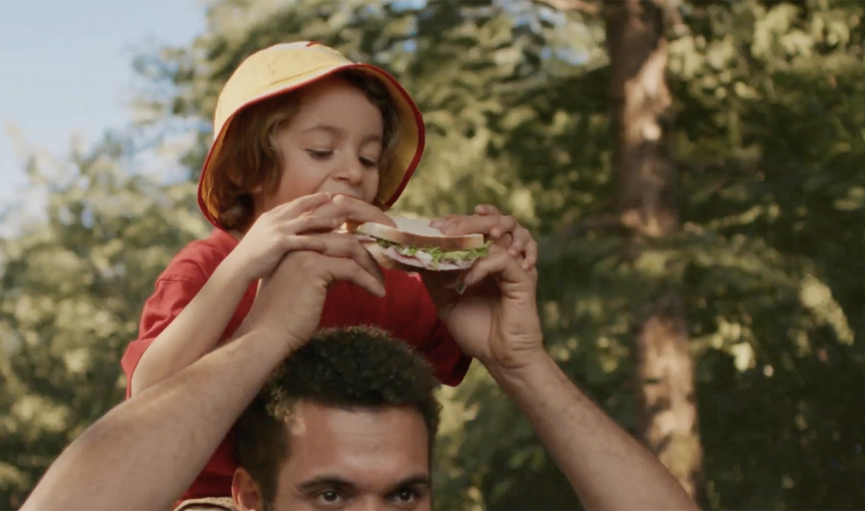 Description de l'image